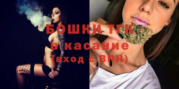 дживик Богородицк