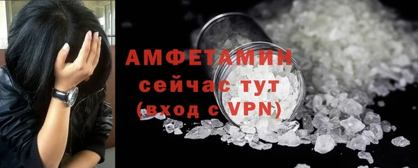 дживик Богородицк