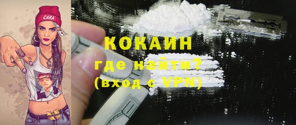 стафф Богданович