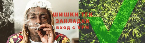 дживик Богородицк