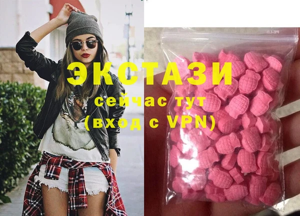 стафф Богданович