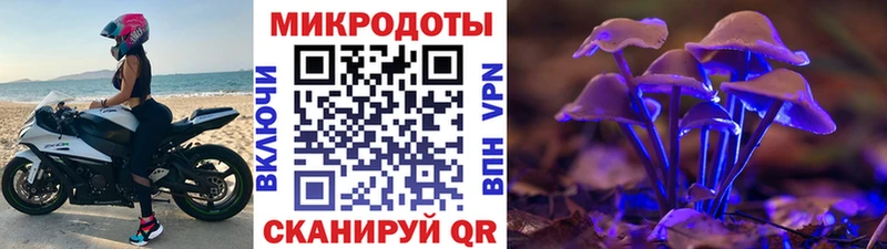 закладки  omg вход  Галлюциногенные грибы мухоморы  Холмск 