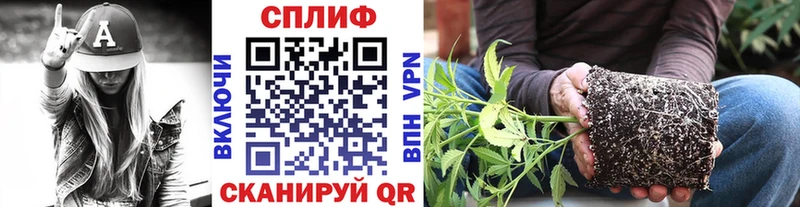где купить наркоту  Холмск  Канабис марихуана 